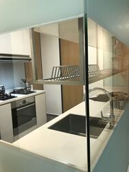 Newton Suites (D11), Apartment #368627541